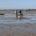 2014 Ile de Noirmoutiers (169)